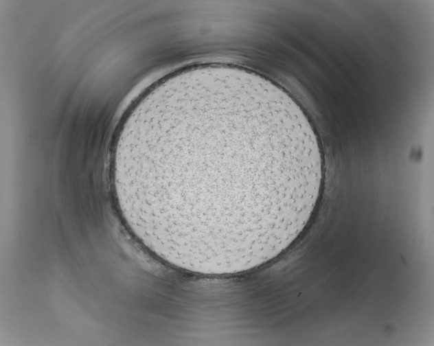 X0000113941044200910231939