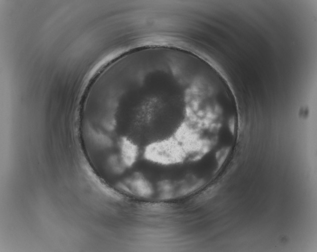 X0000113941045200910231939