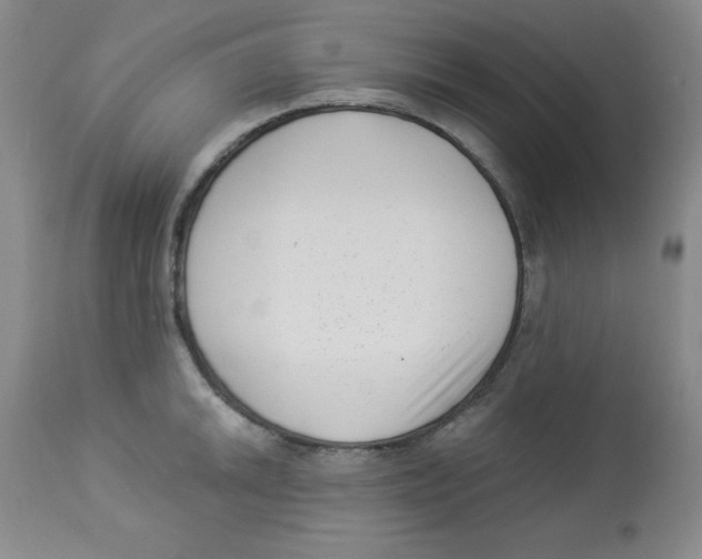 X0000113941046200910231939