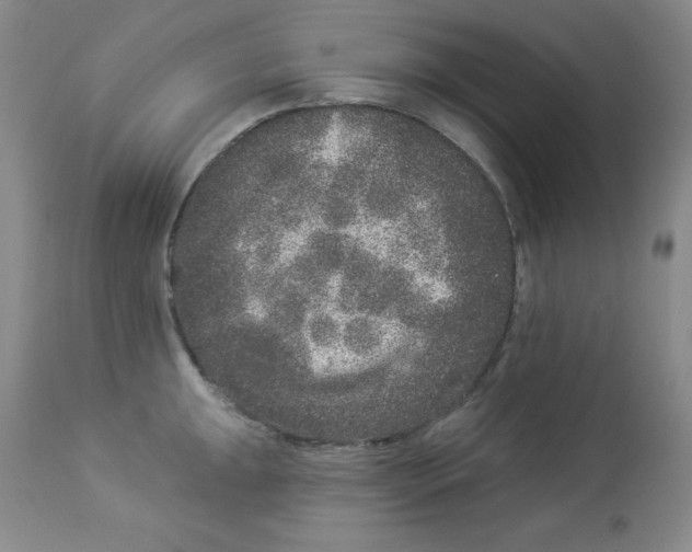 X0000113941047200910231939