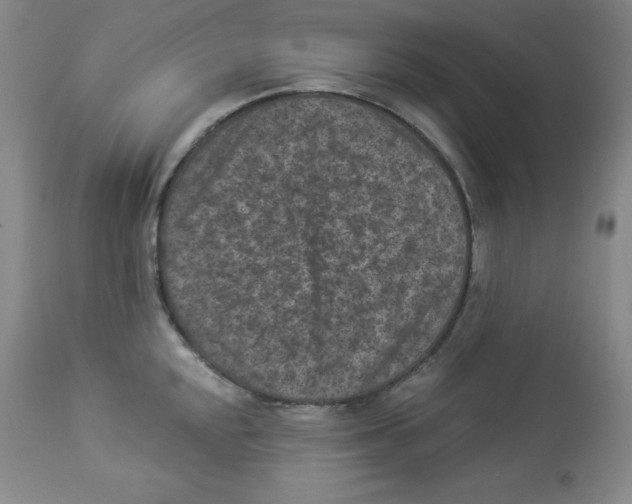 X0000113941048200910231939