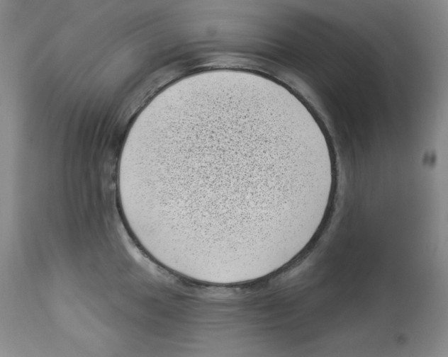X0000113941049200910231940
