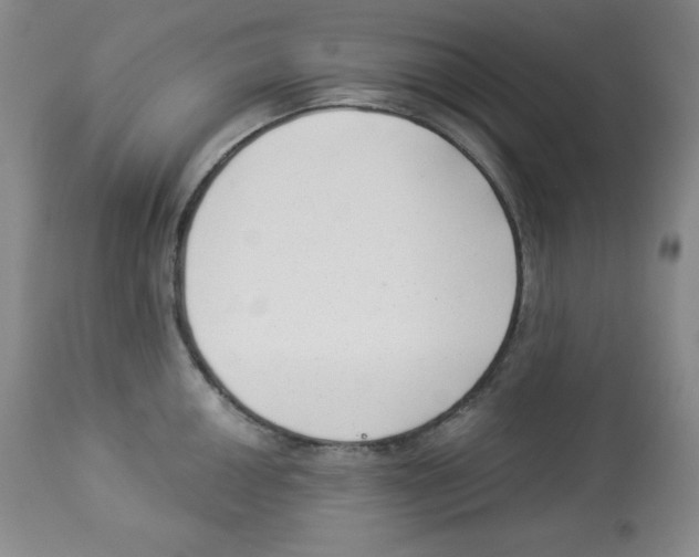 X0000113941050200910231940