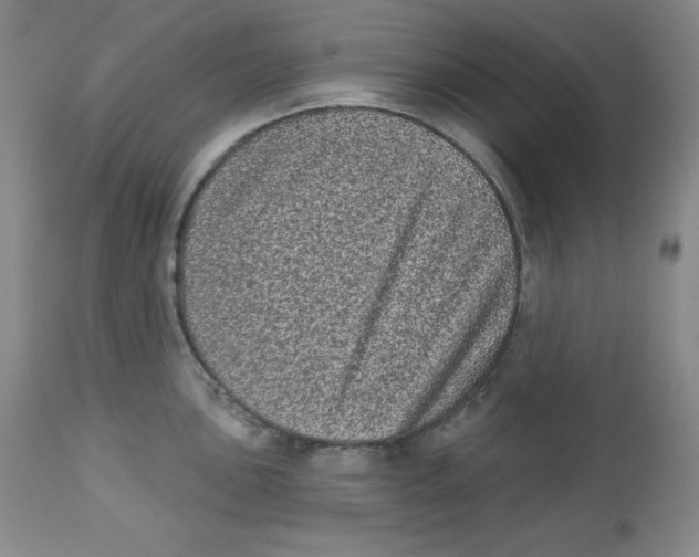X0000113941051200910231940