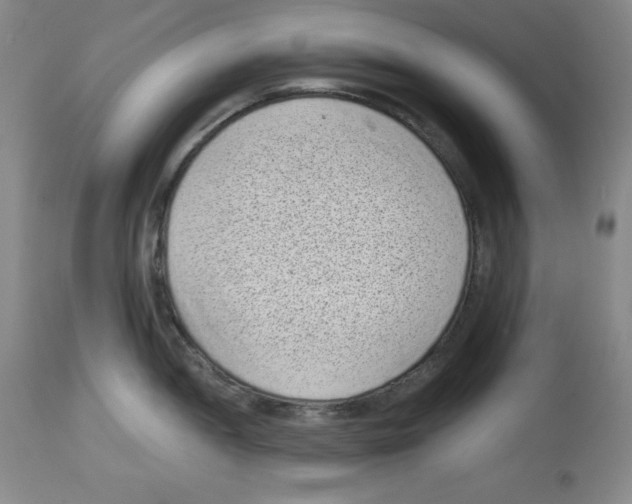 X0000113941052200910231940