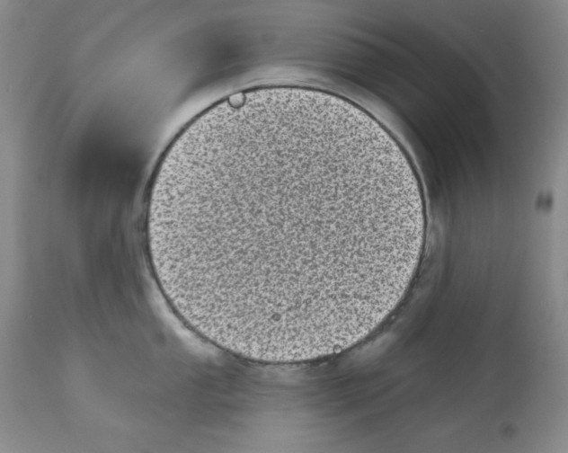 X0000113941053200910231940