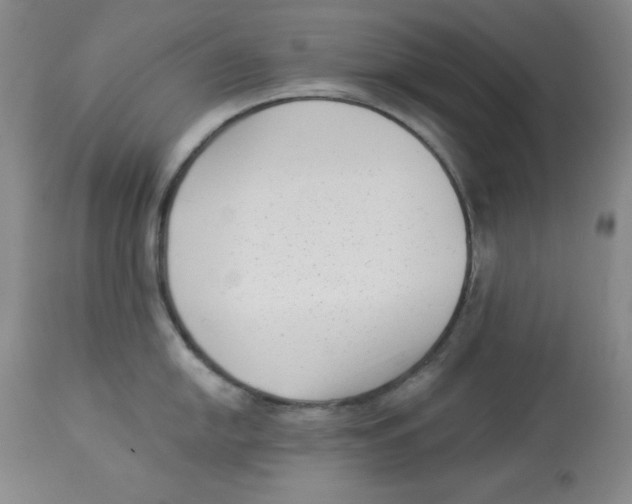 X0000113941054200910231940