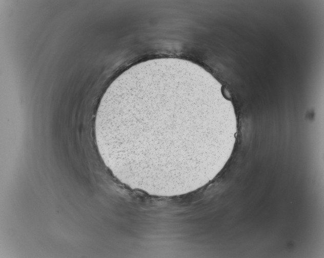 X0000113941057200910231939