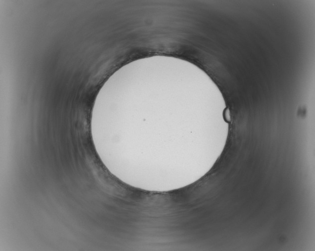 X0000113941058200910231939