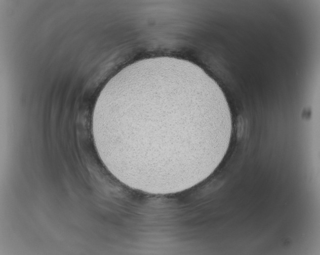 X0000113941059200910231939