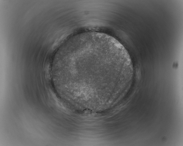 X0000113941060200910231939