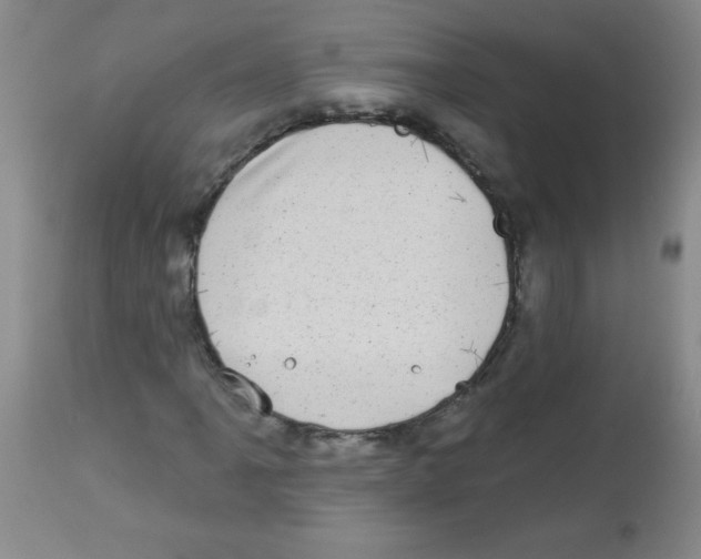 X0000113941061200910231939