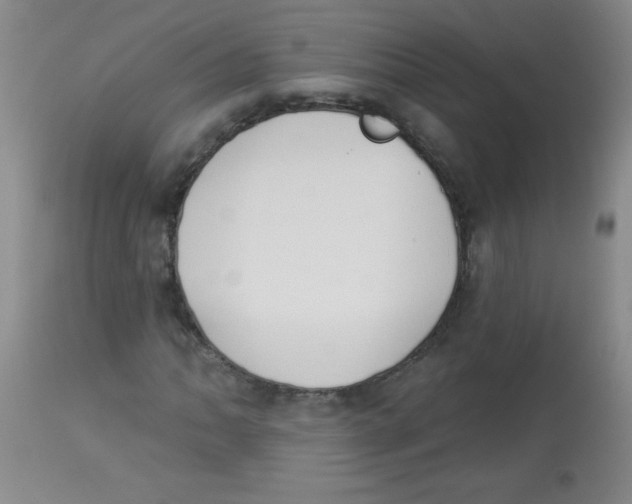 X0000113941062200910231939