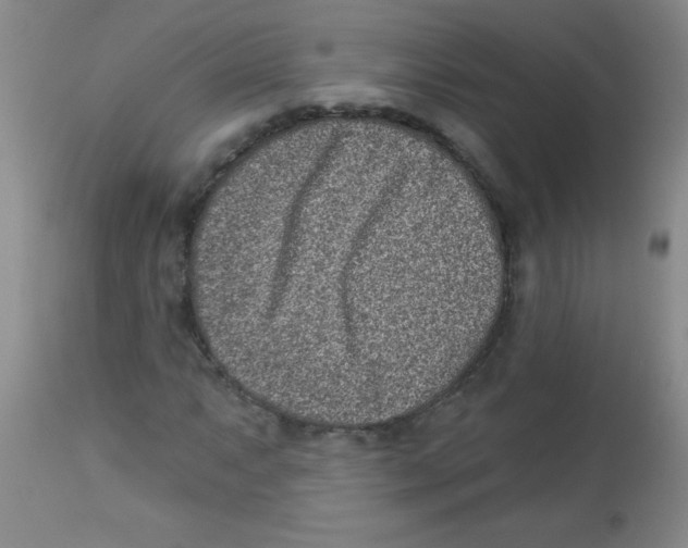 X0000113941063200910231939