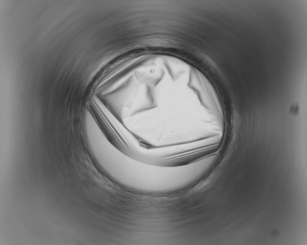 X0000113941065200910231939