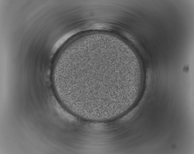 X0000113941066200910231939