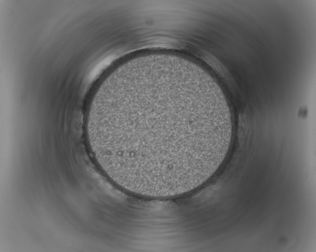 X0000113941067200910231939