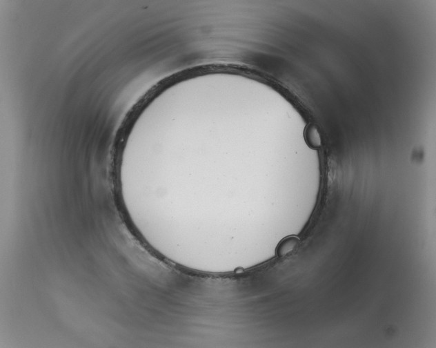 X0000113941068200910231939
