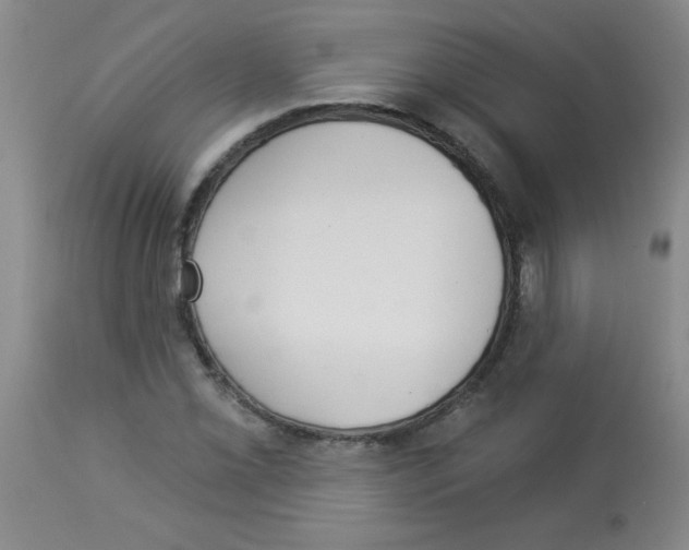 X0000113941069200910231939