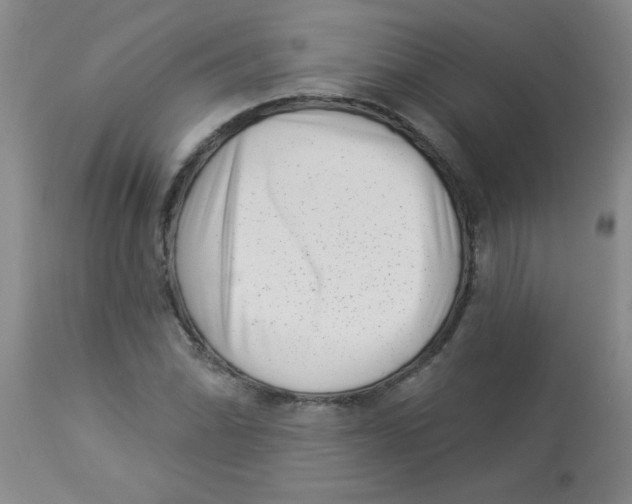 X0000113941070200910231939