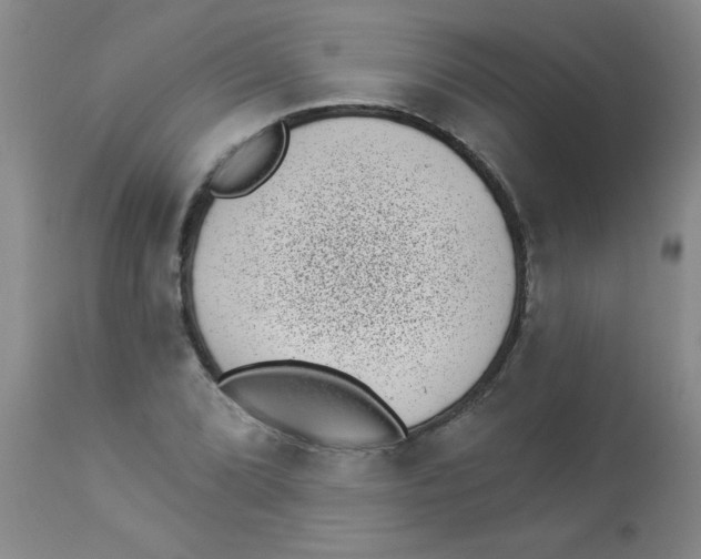 X0000113941072200910231939