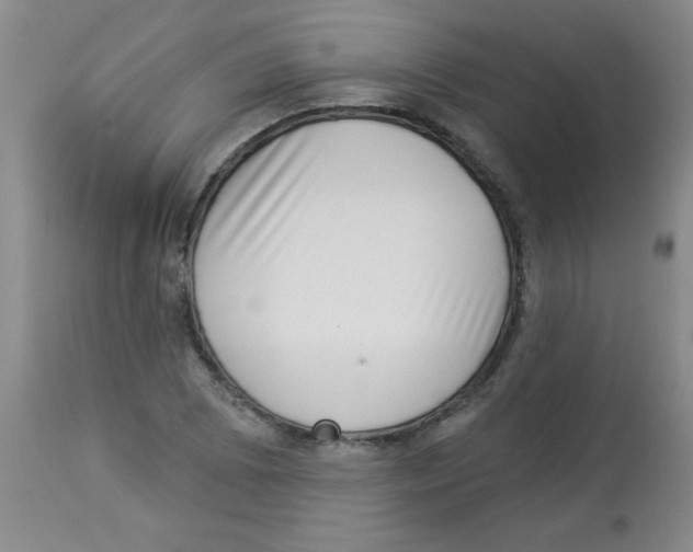 X0000113941073200910231939