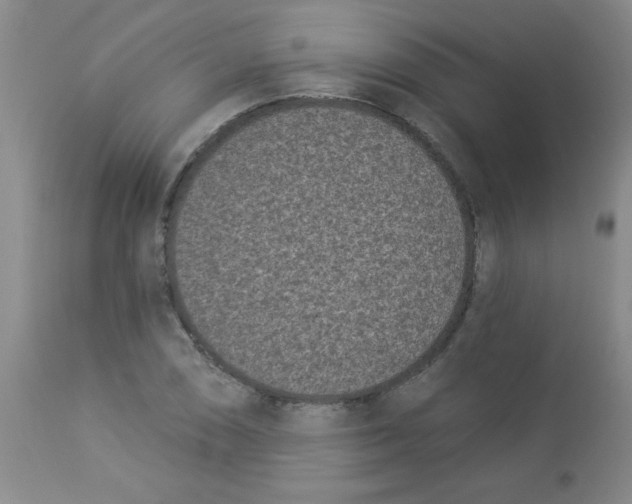 X0000113941074200910231939