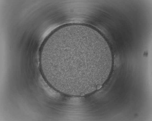 X0000113941078200910231939