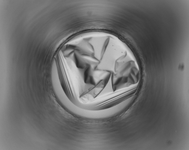 X0000113941081200910231939