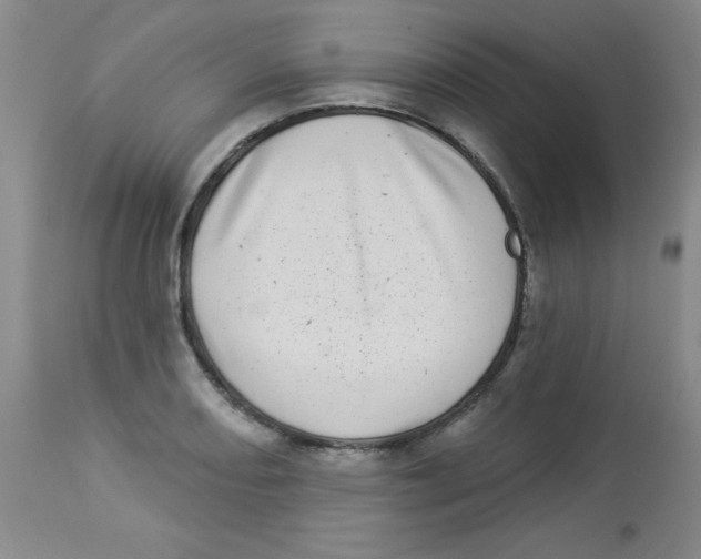X0000113941082200910231939