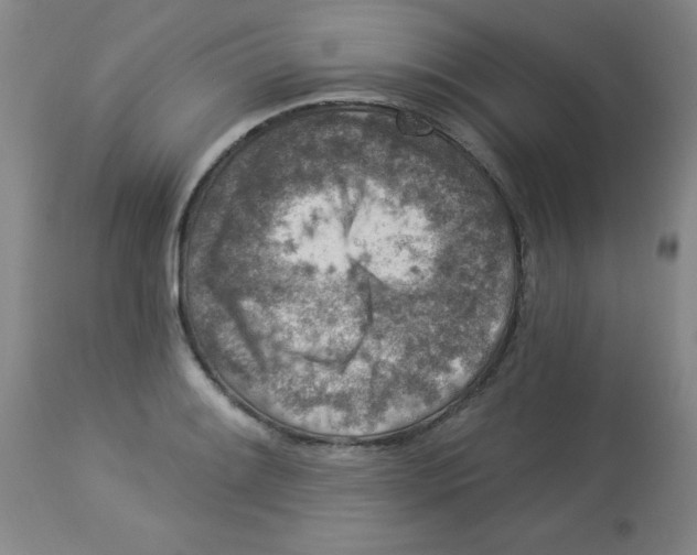 X0000113941084200910231939
