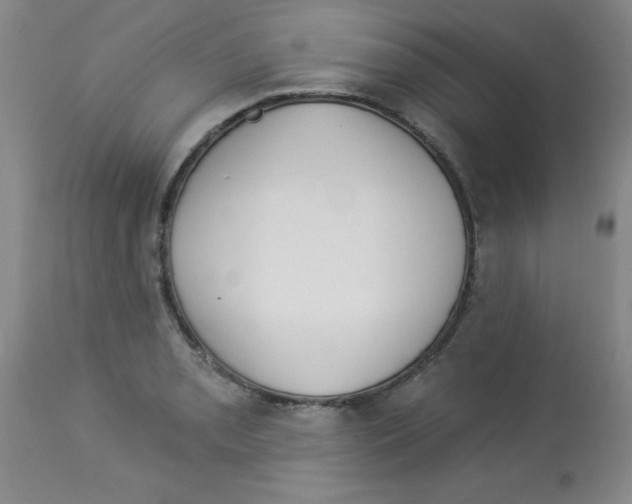 X0000113941085200910231939