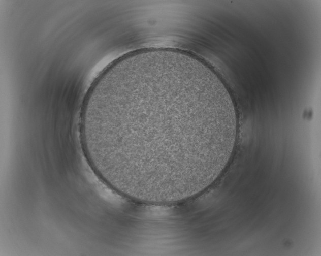 X0000113941086200910231939