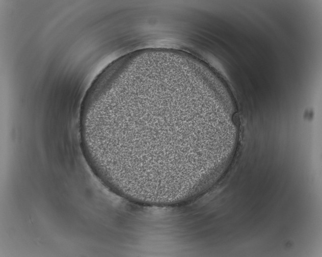 X0000113941087200910231939