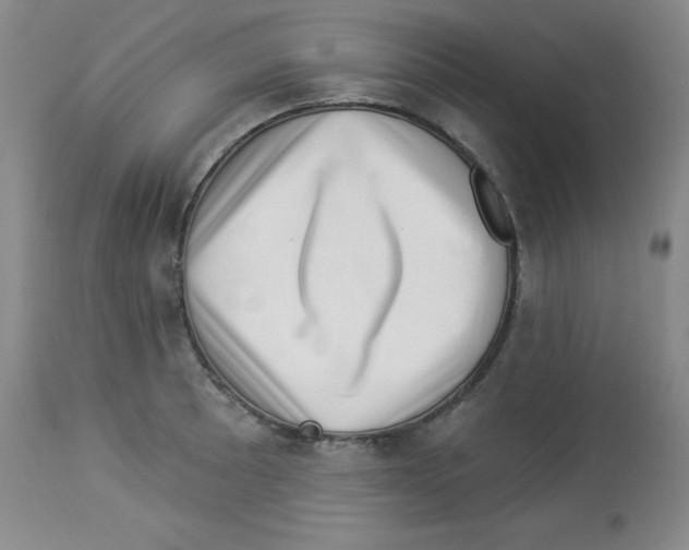 X0000113941089200910231939