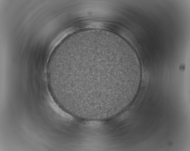 X0000113941090200910231938