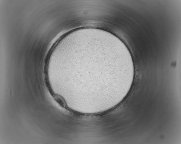 X0000113941091200910231938