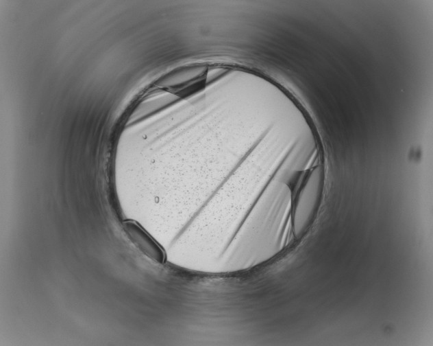 X0000113941093200910231938
