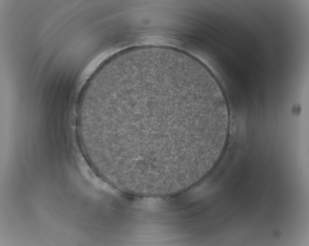 X0000113941094200910231938