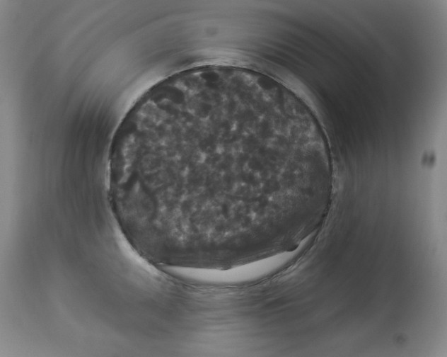 X0000113941095200910231938