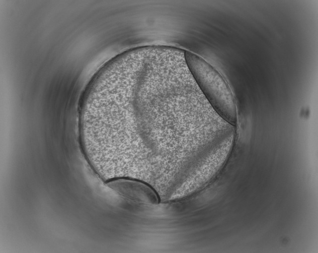 X0000113941096200910231938