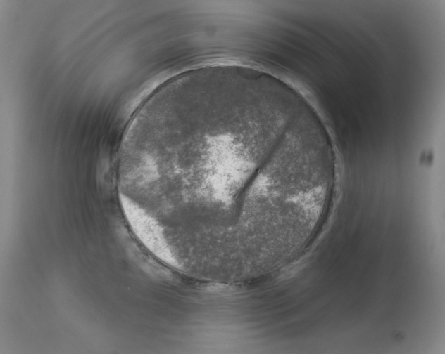 X0000113941097200910231938