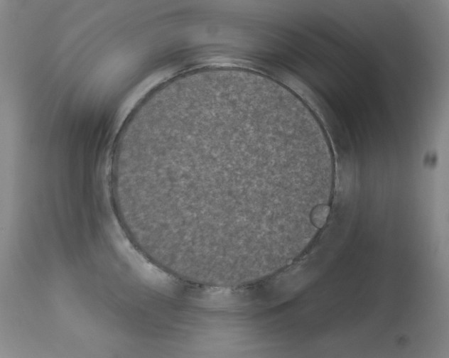 X0000113941098200910231938