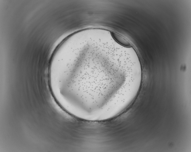 X0000113941100200910231938