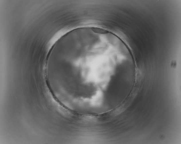 X0000113941101200910231938