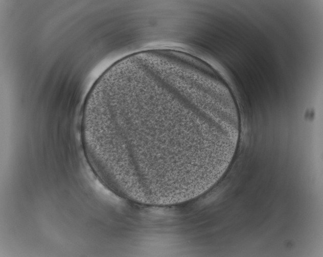 X0000113941102200910231938