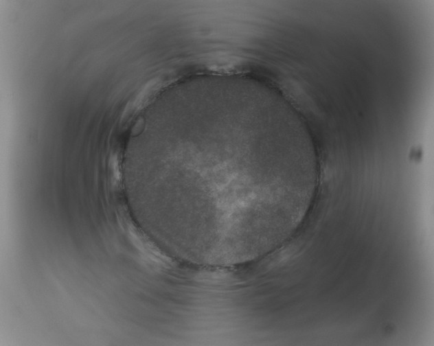 X0000113941106200910231938