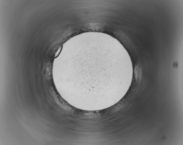 X0000113941107200910231938