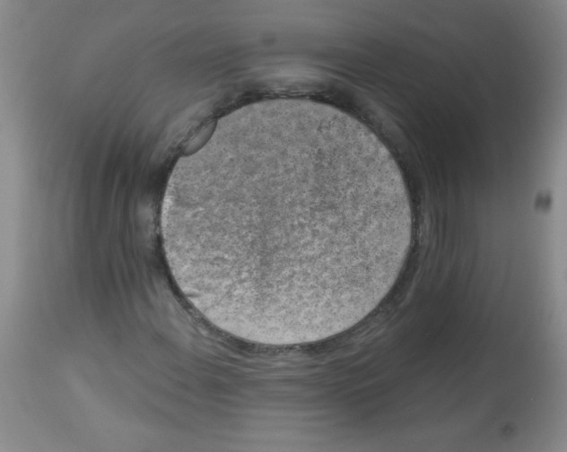 X0000113941108200910231938