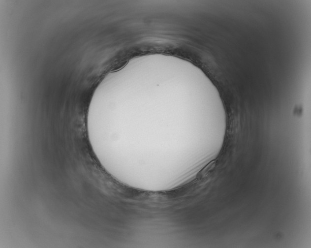 X0000113941109200910231938